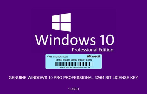 Windows 10 Professional