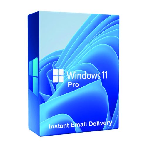 Windows 11 Professional